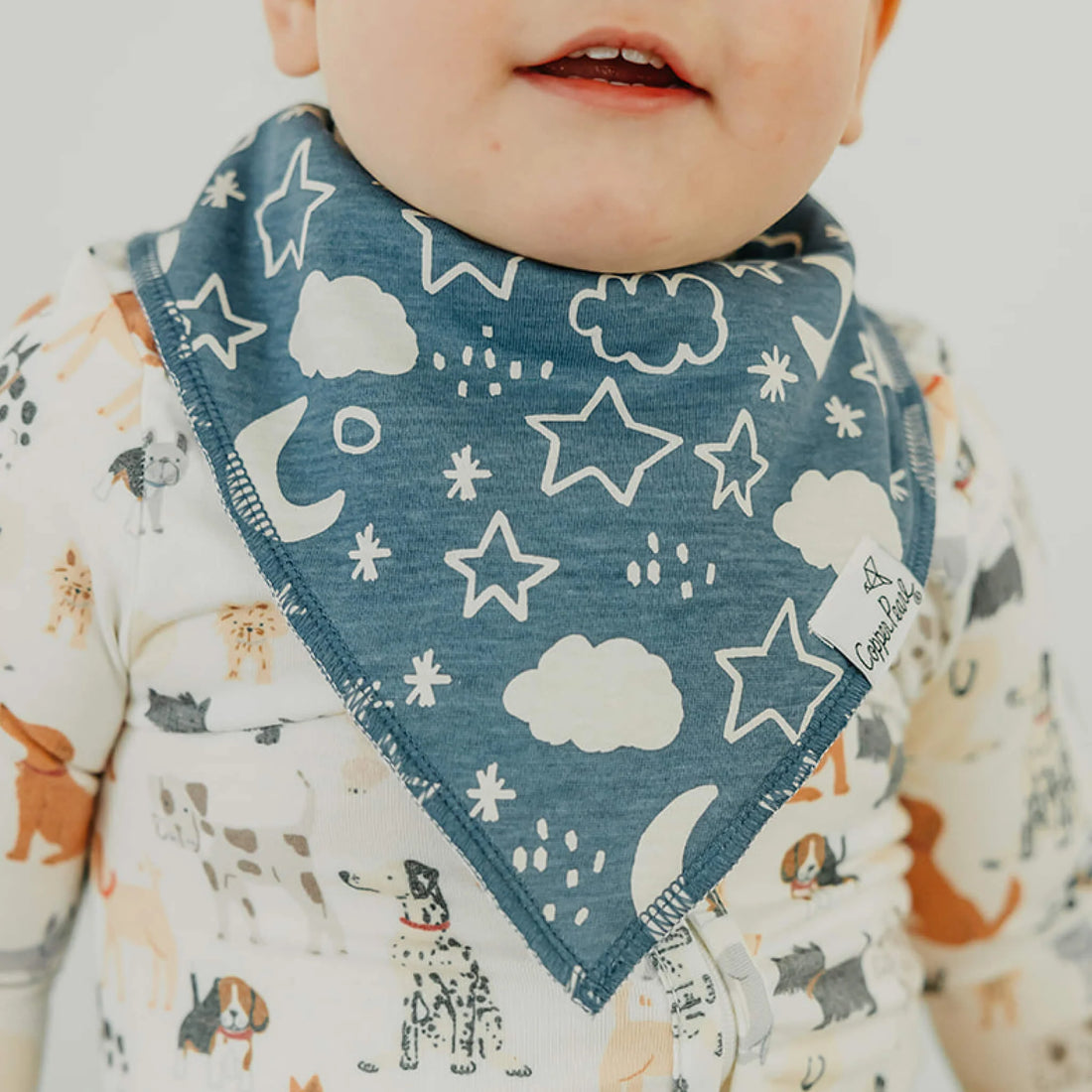 Copper Pearl Baby Bandana Bib Set - Rufus