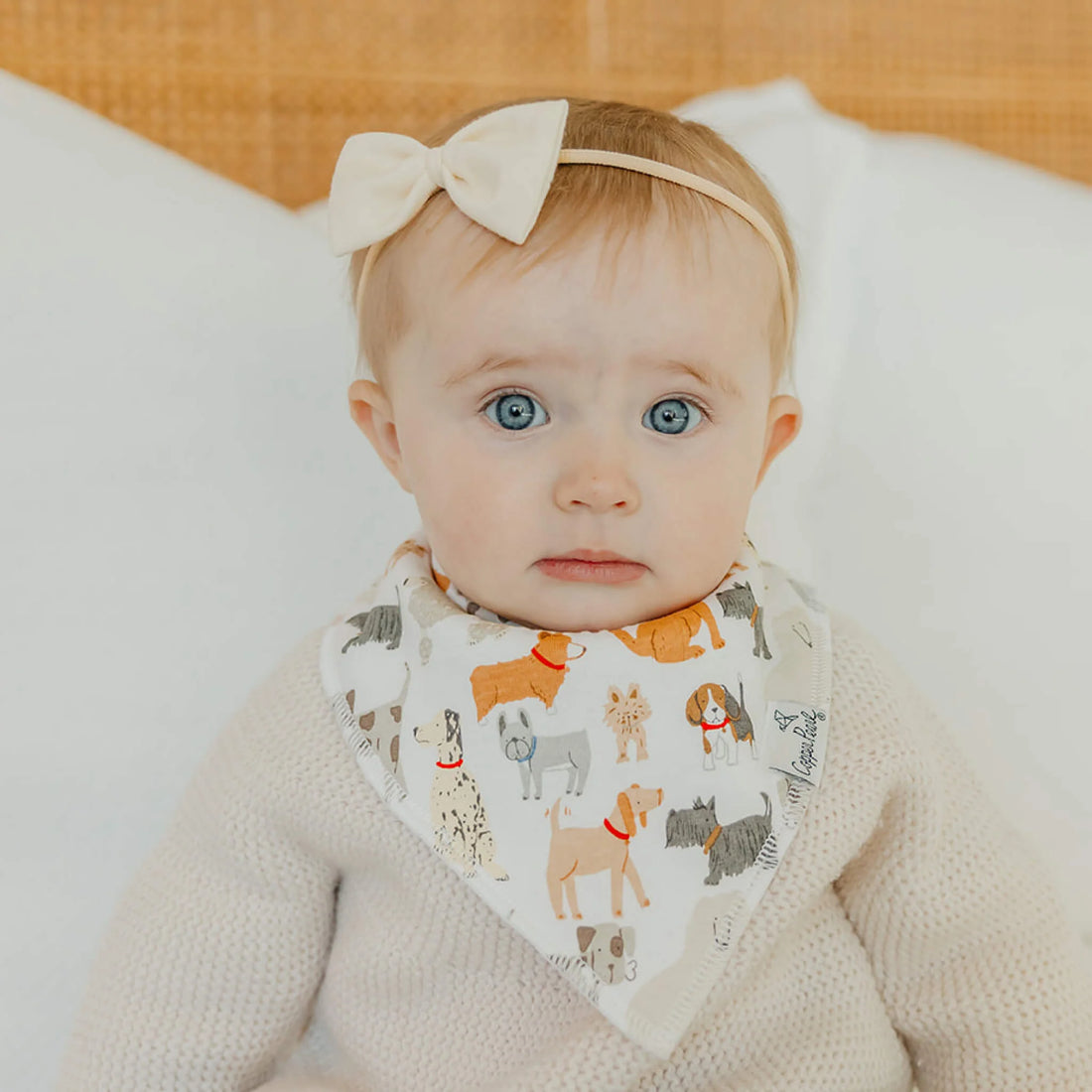 Copper Pearl Baby Bandana Bib Set - Rufus