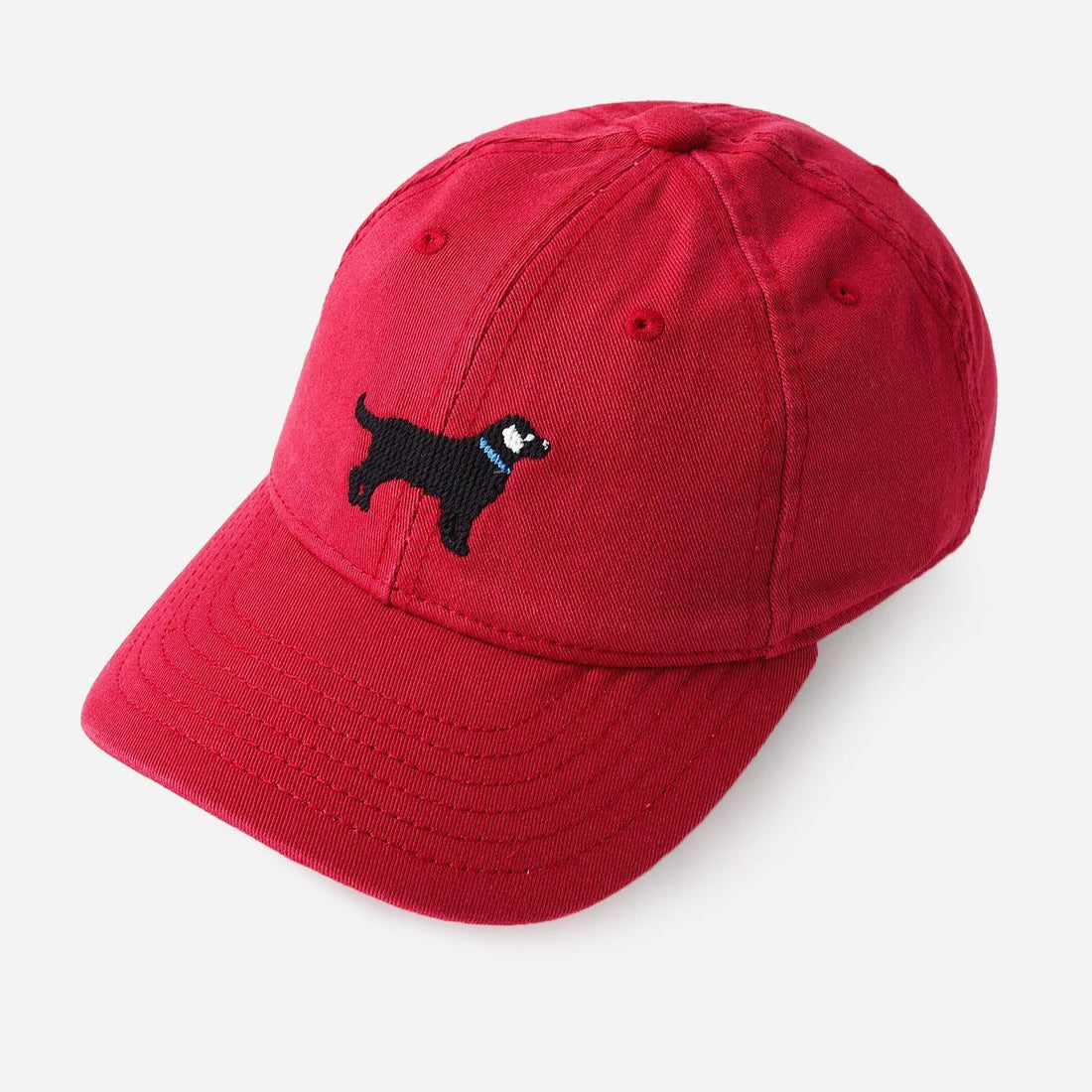 Harding-Lane Kids Cap- Black Lab