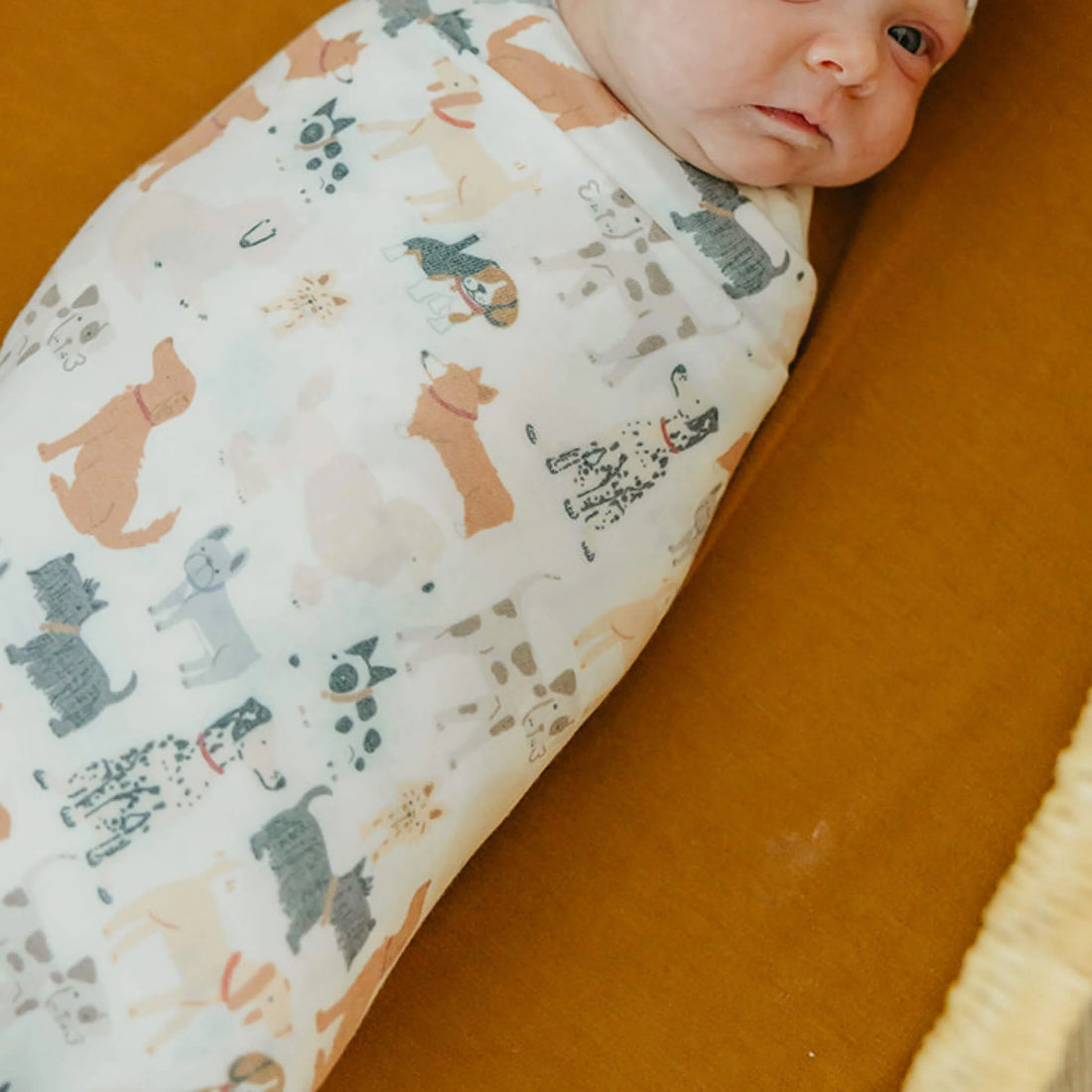 Copper Pearl Single Knit Swaddle Blanket - Rufus