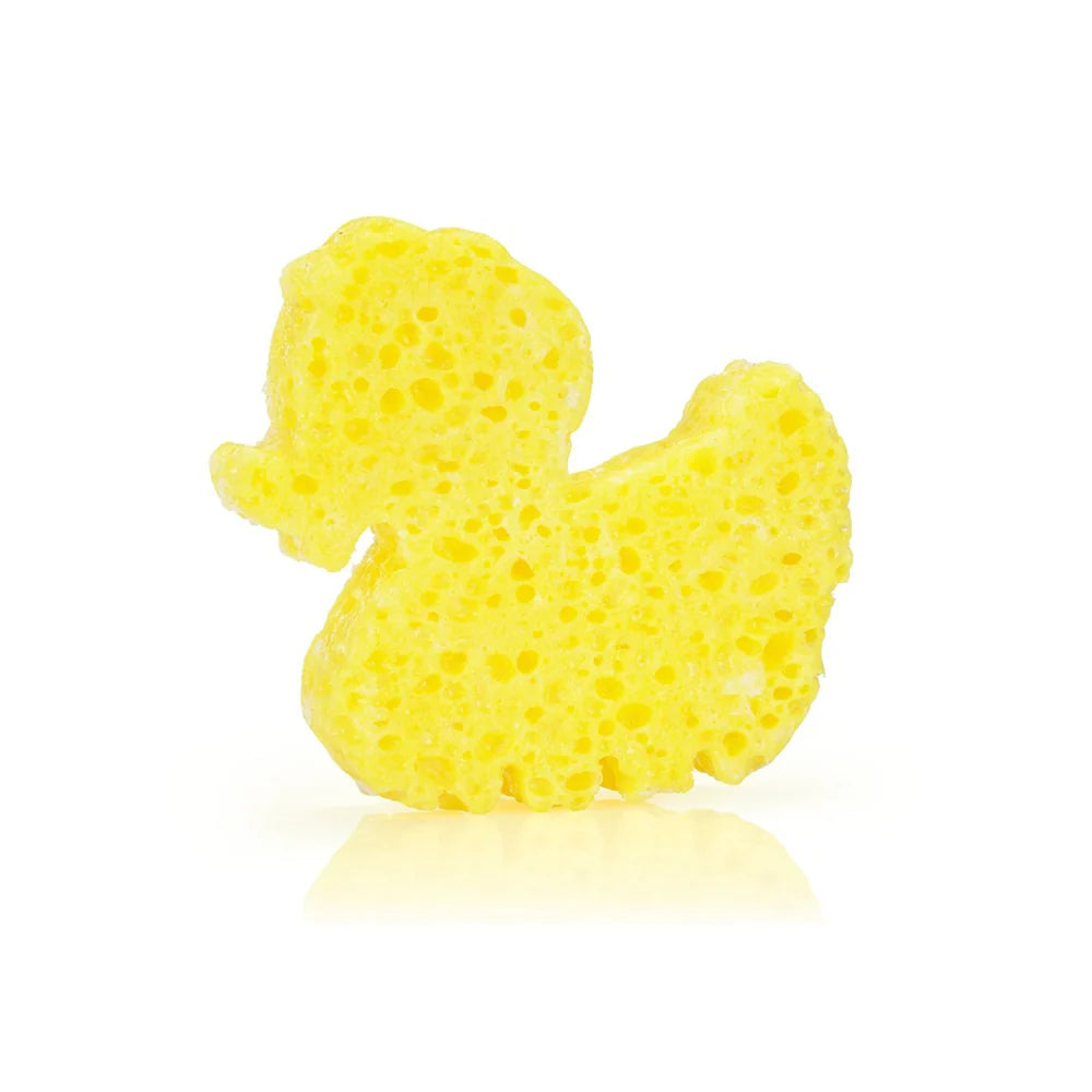 Spongelle Duck Fruitilicious