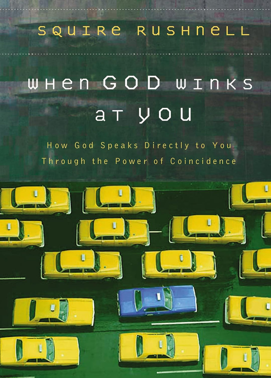 When God Winks At You Book