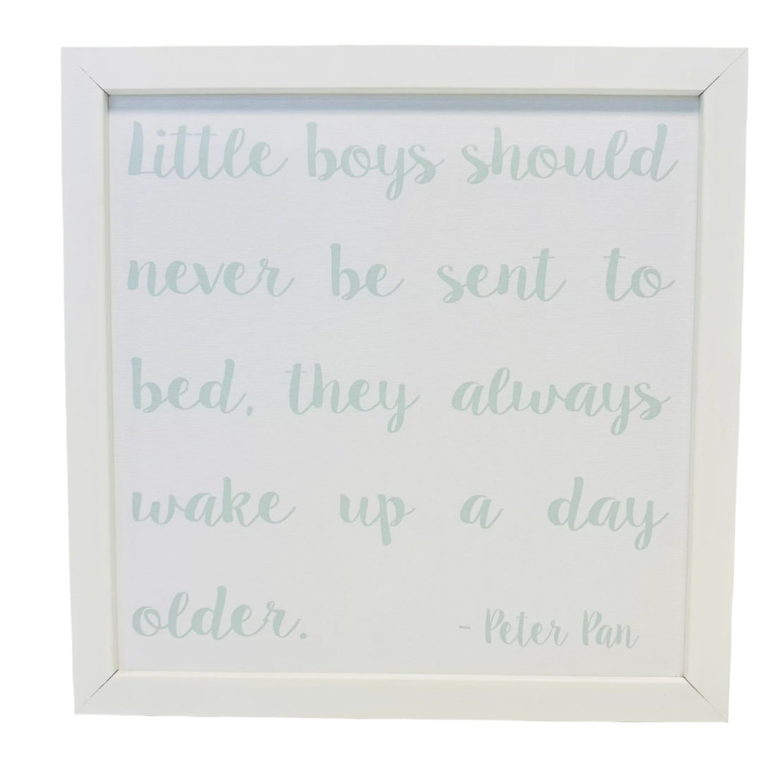 Peter Pan Magnet Canvas