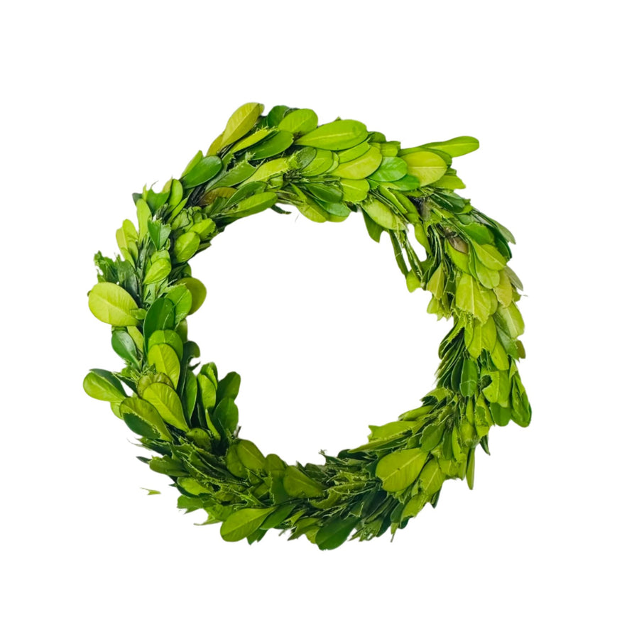 Park Hill Mini Preserve Boxwood Wreath