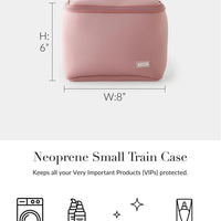 Kusshi Small Train Case- Mauve with Stone Interior