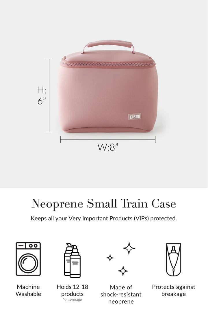 Kusshi Small Train Case- Mauve with Stone Interior